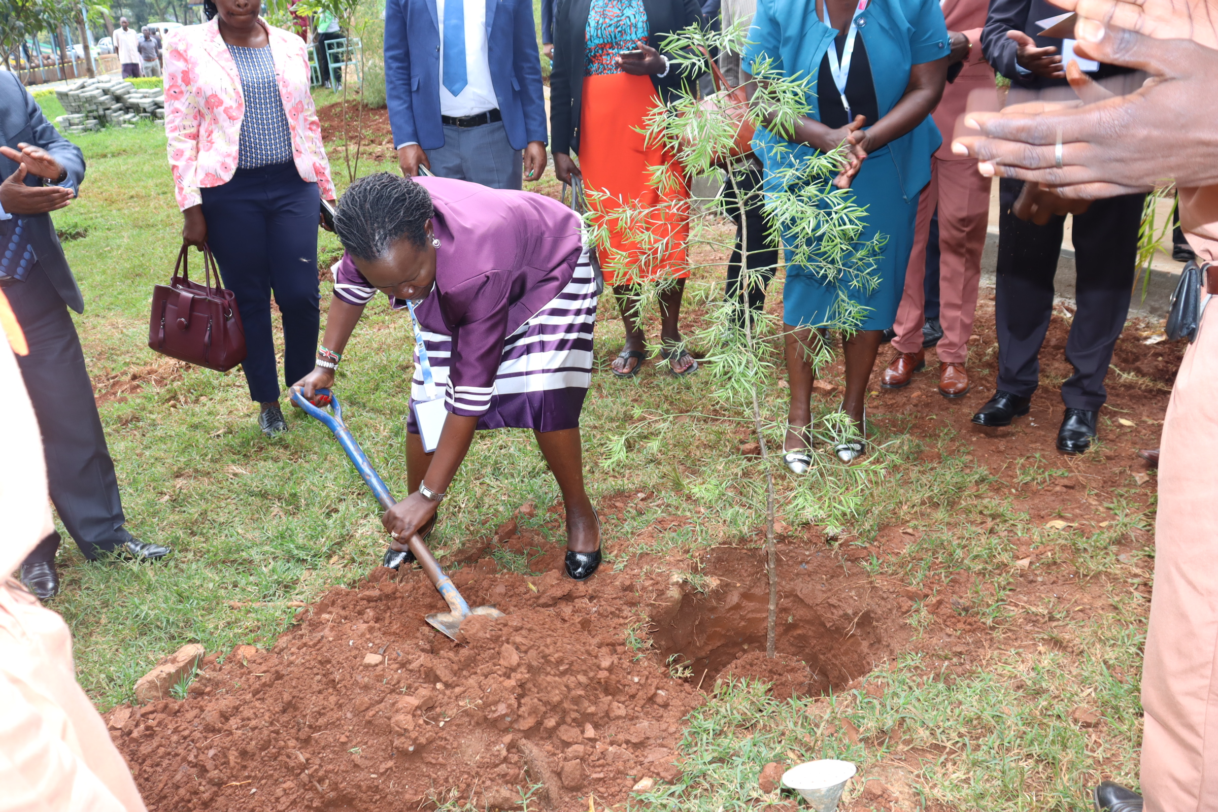 chief guest to 2nd international conference planting tree